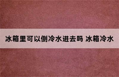 冰箱里可以倒冷水进去吗 冰箱冷水